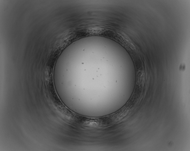 X0000090450655200708031218