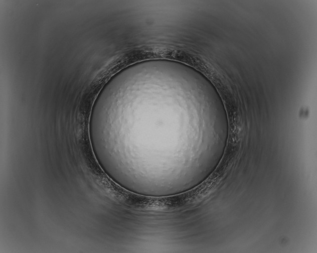 X0000090450656200708031219