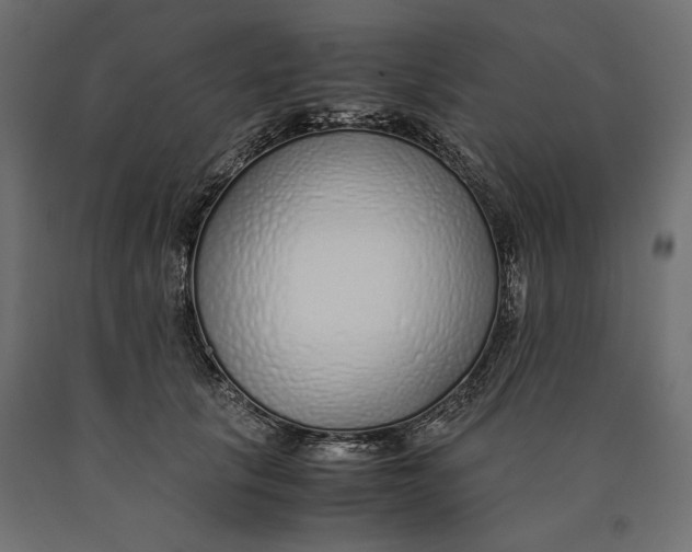 X0000090450657200708031219