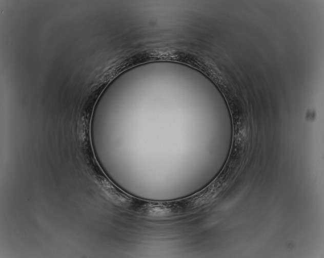 X0000090450658200708031219