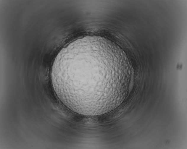 X0000090450660200708031219