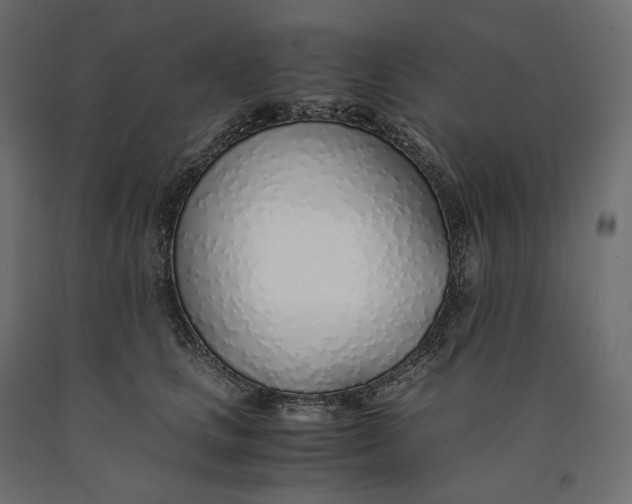 X0000090450661200708031219