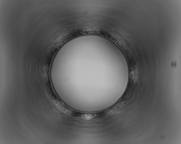 X0000090450662200708031219