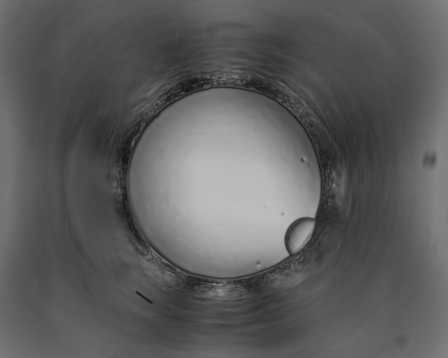 X0000090450663200708031219