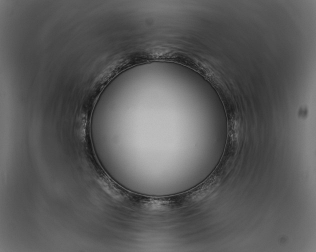 X0000090450664200708031219