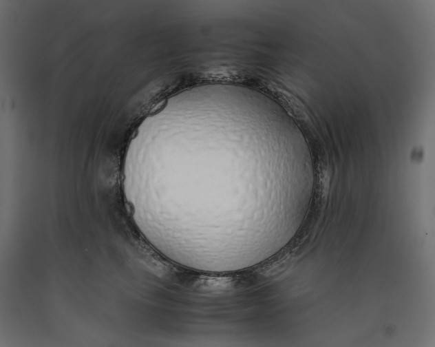 X0000090450665200708031219