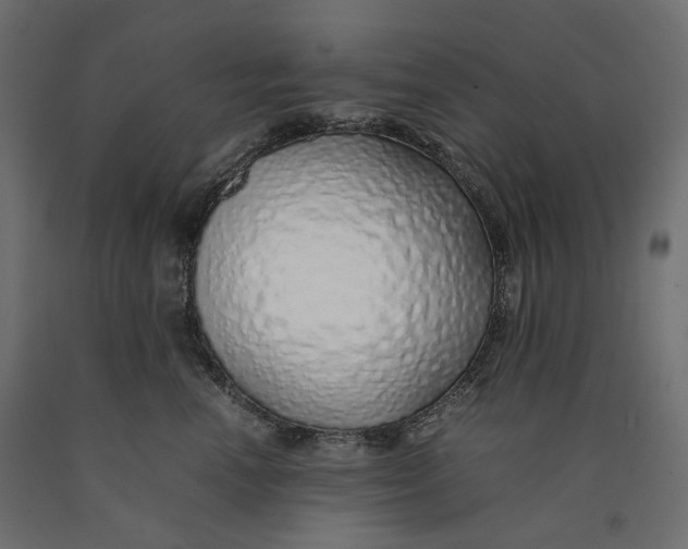 X0000090450666200708031219