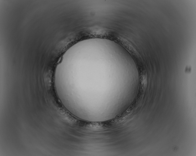 X0000090450668200708031219