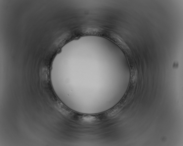 X0000090450669200708031219