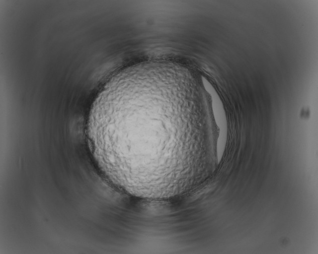 X0000090450670200708031219