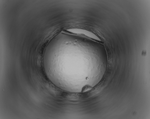 X0000090450671200708031219