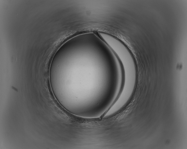 X0000090450673200708031218