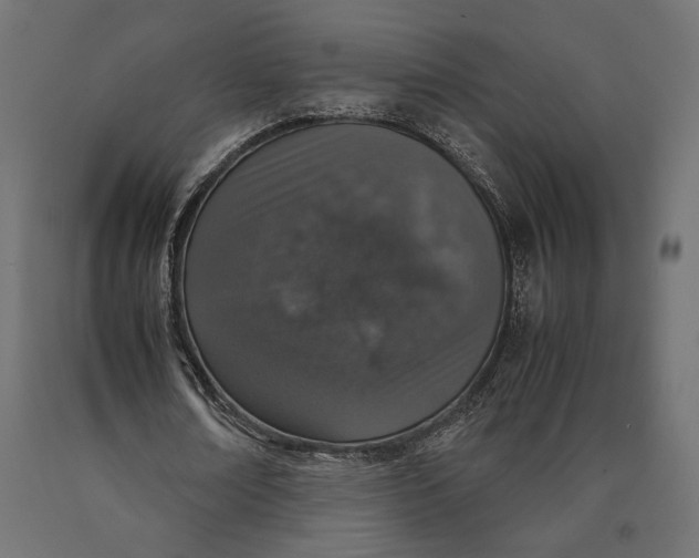 X0000090450674200708031218