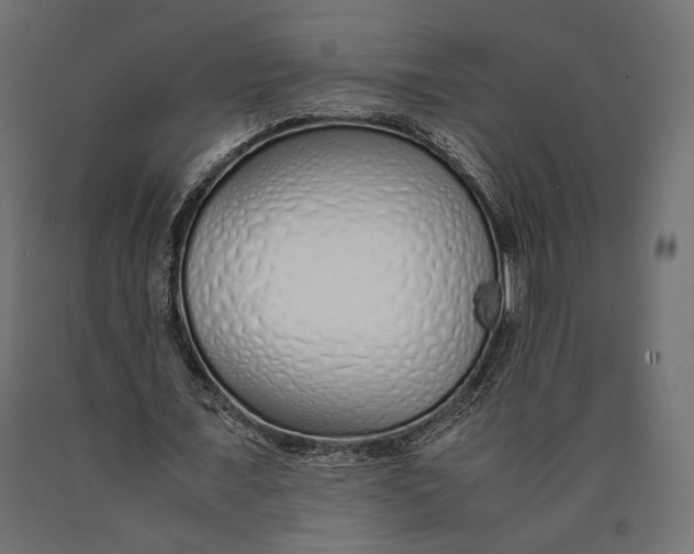 X0000090450675200708031218