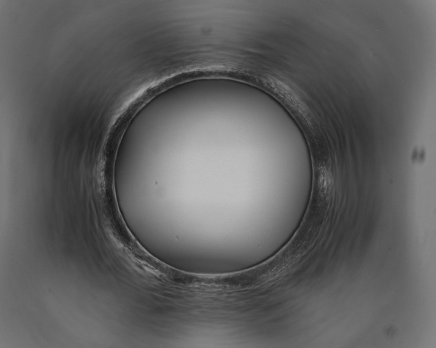 X0000090450676200708031218