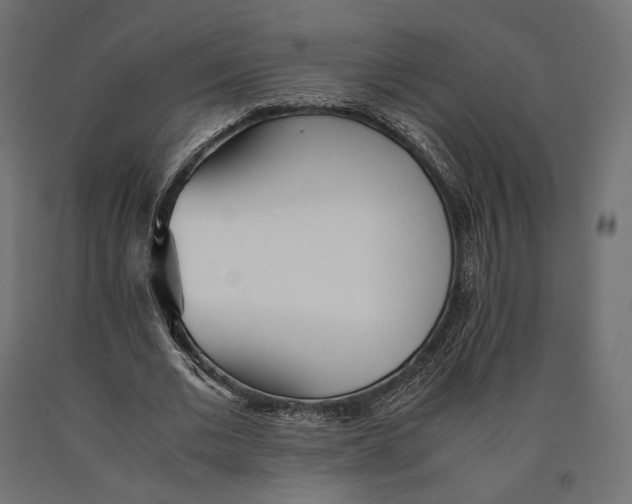 X0000090450677200708031218