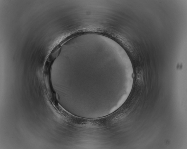 X0000090450678200708031218