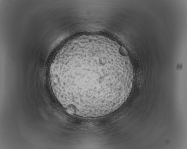 X0000090450679200708031218