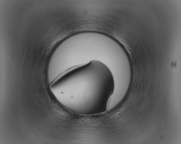 X0000090450681200708031218