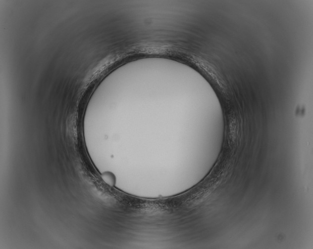 X0000090450682200708031218