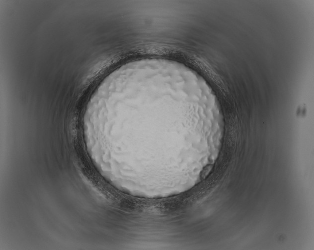 X0000090450683200708031218