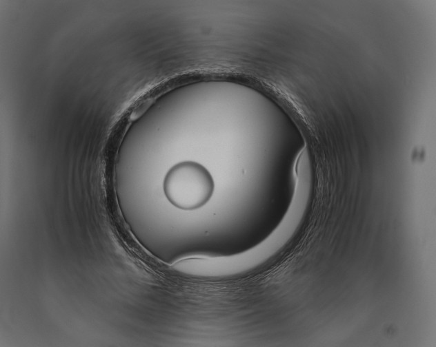 X0000090450684200708031218