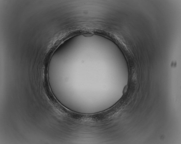 X0000090450685200708031218