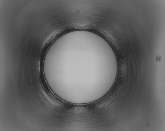 X0000090450686200708031218