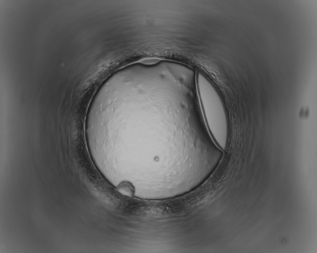 X0000090450687200708031218