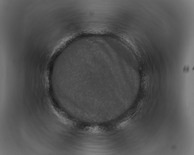 X0000090450688200708031218