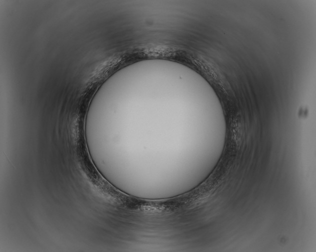 X0000090450690200708031218