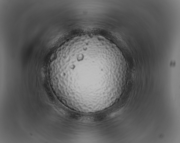 X0000090450691200708031218