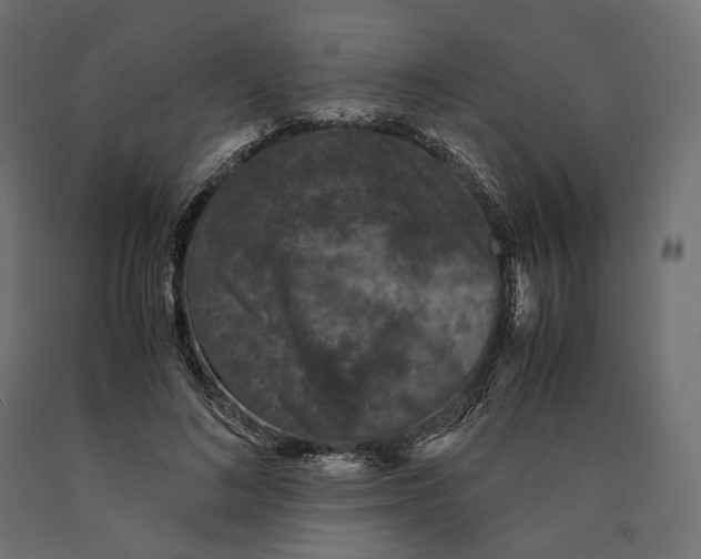 X0000090450692200708031218