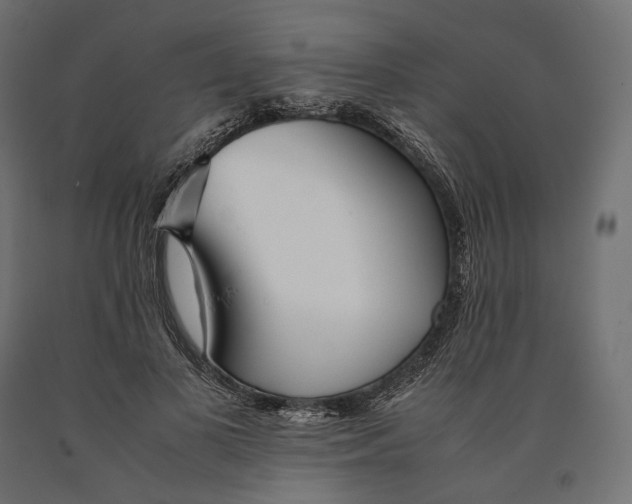 X0000090450693200708031218