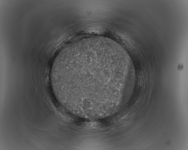 X0000090450695200708031218