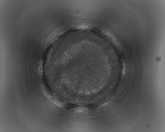 X0000090450696200708031218