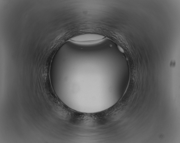 X0000090450697200708031218