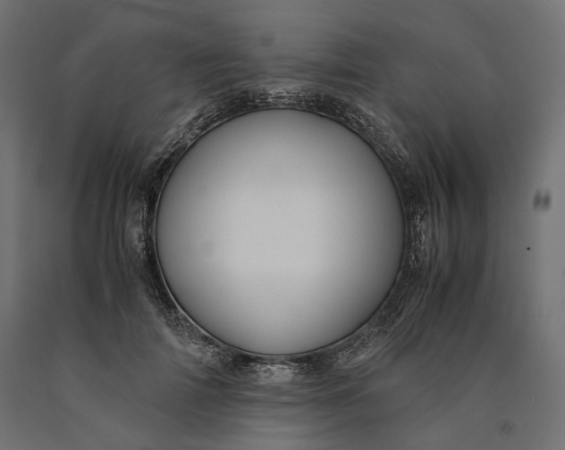 X0000090450698200708031218