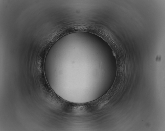 X0000090450700200708031218