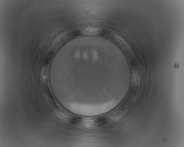 X0000090450701200708031218