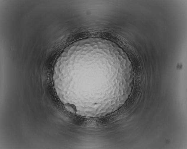 X0000090450703200708031218