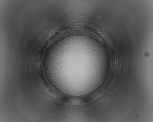 X0000090450704200708031218