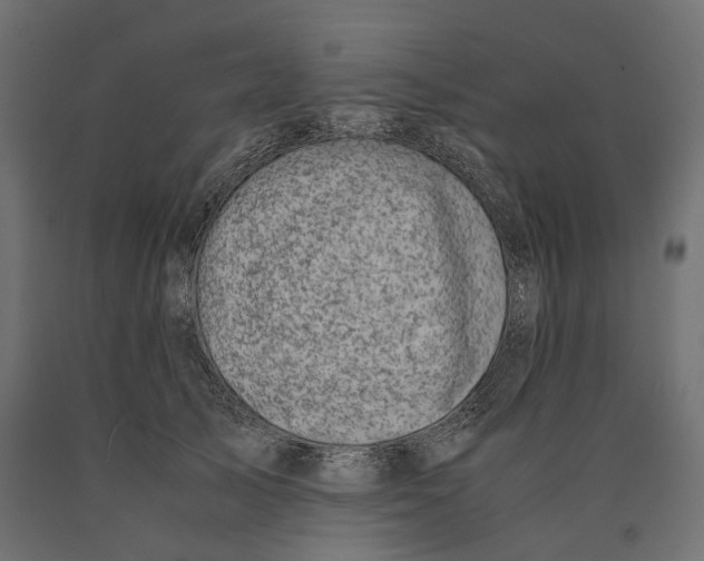 X0000090450705200708031217