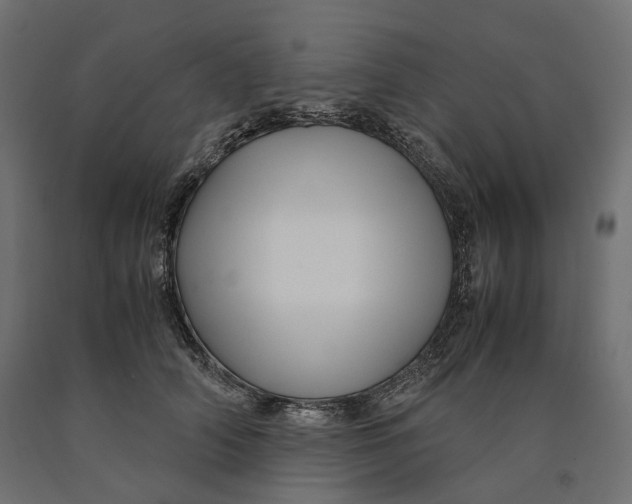 X0000090450706200708031217