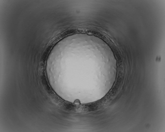 X0000090450707200708031217