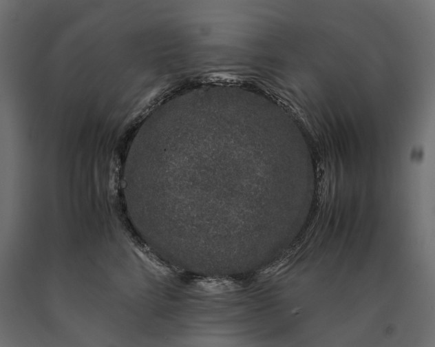 X0000090450712200708031217