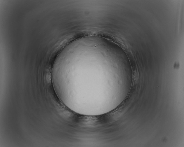 X0000090450719200708031217