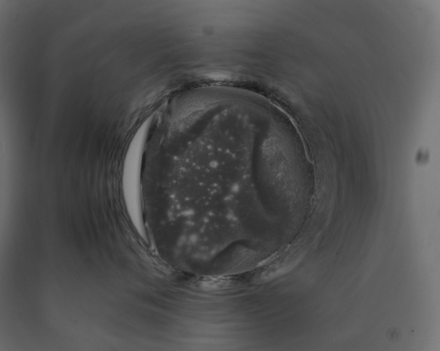 X0000090450720200708031217