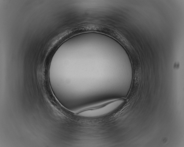 X0000090450722200708031217