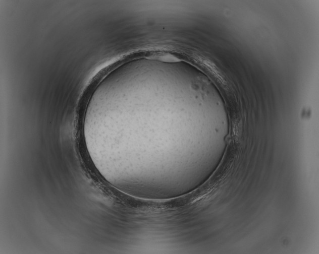 X0000090450724200708031217